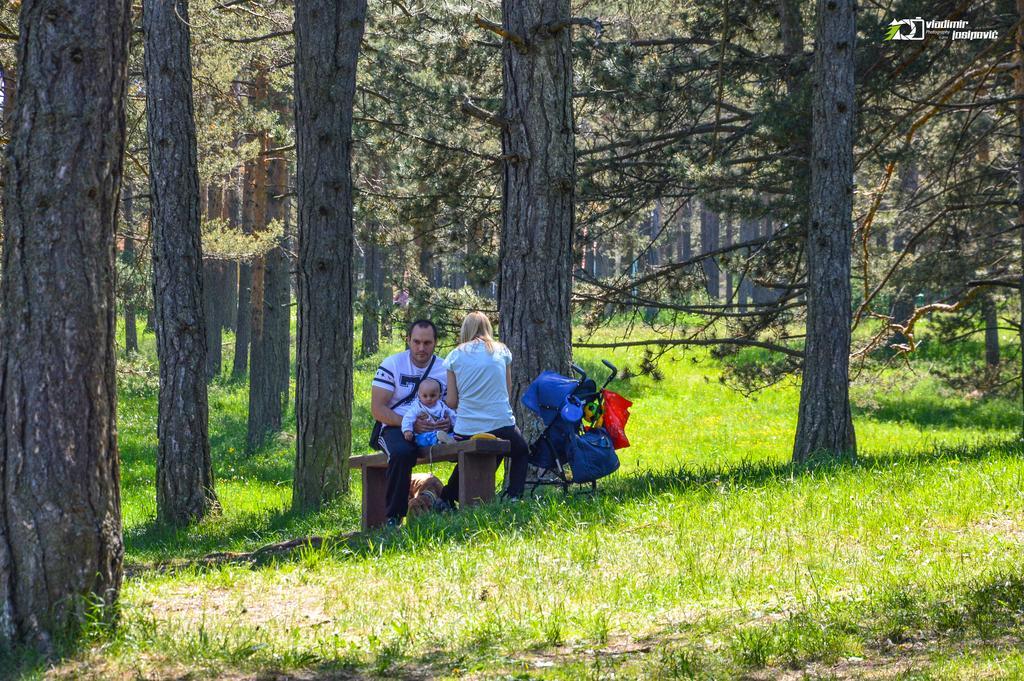 Apartments Josipovic Zlatibor Dış mekan fotoğraf