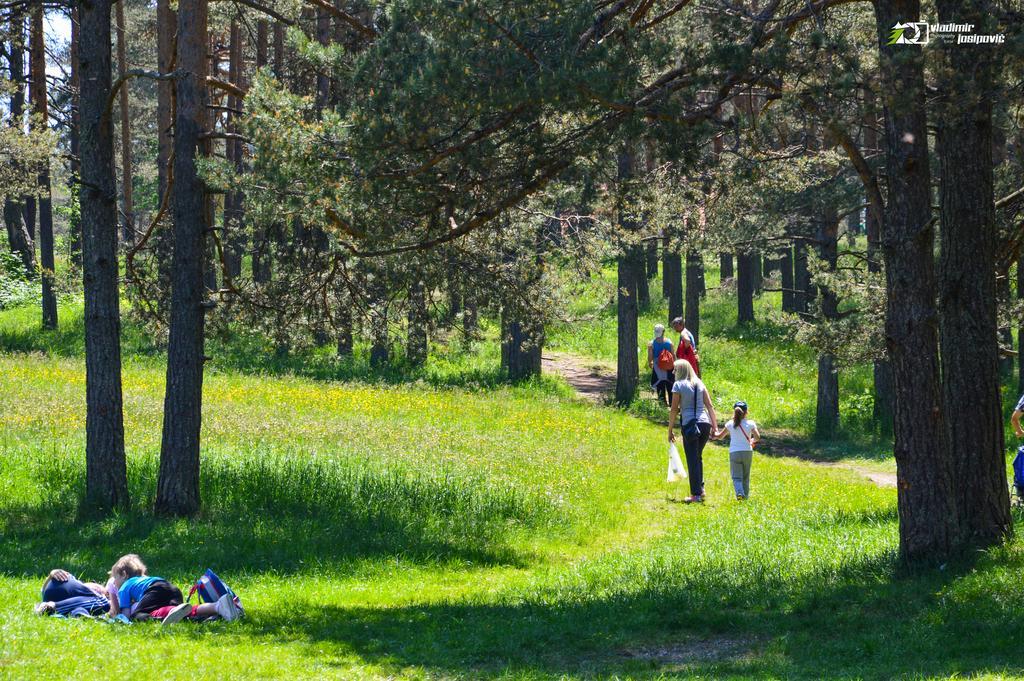 Apartments Josipovic Zlatibor Dış mekan fotoğraf